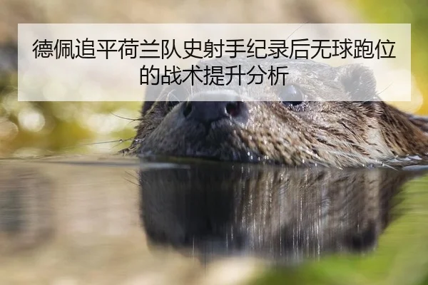 de-pei-zhui-ping-he-lan-dui-shi-she-shou-ji-lu-hou-wu-qiu-pao-wei-de-zhan-shu-ti-sheng-fen-xi-2-433.jpg